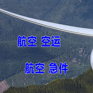 音布鲁克空运地址快递-选东方航空和上海航空