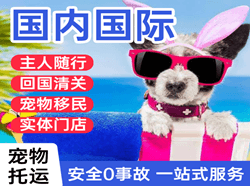 音布鲁克空运地址国际宠物托运 【国