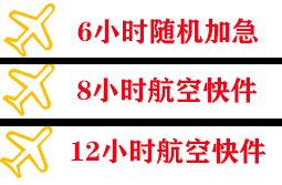 音布鲁克空运地址快递公司,专业空运当天件